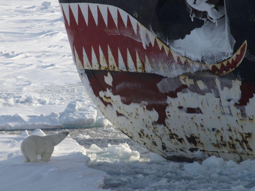 Ледокол Чукотка