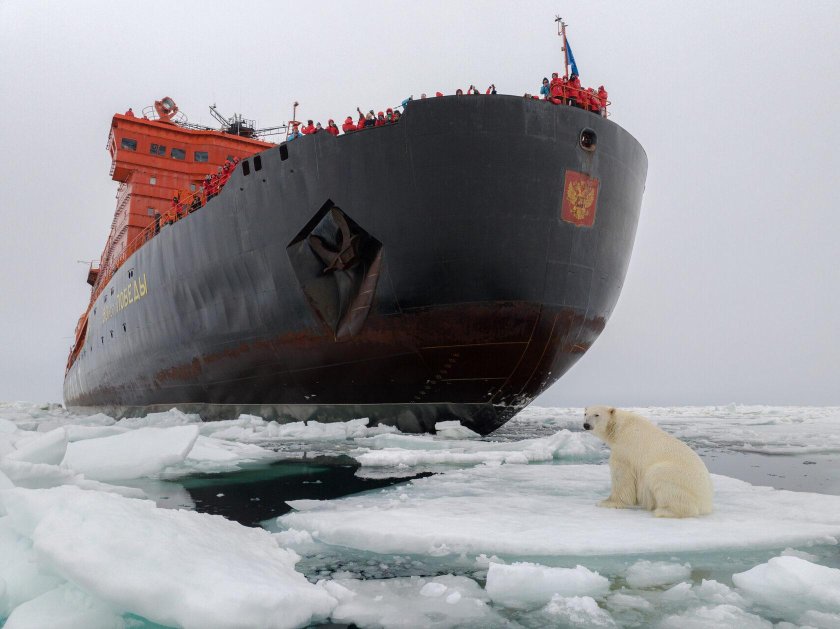Ледокол арктика 1977 северный полюс