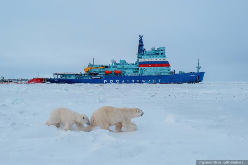 Россия атомный ледокол
