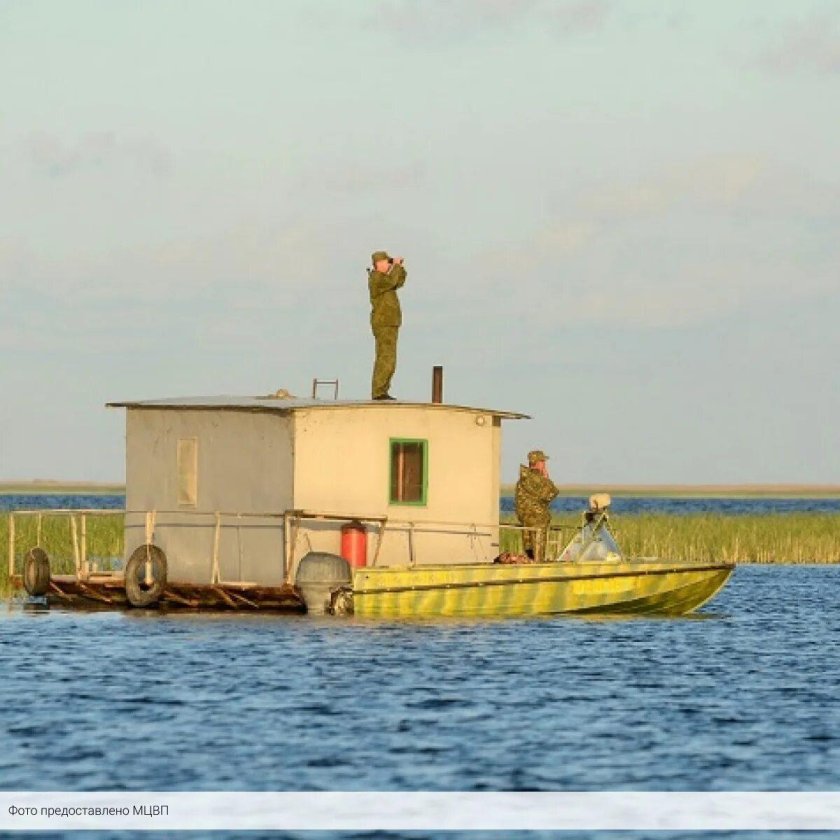 Брандвахта 36