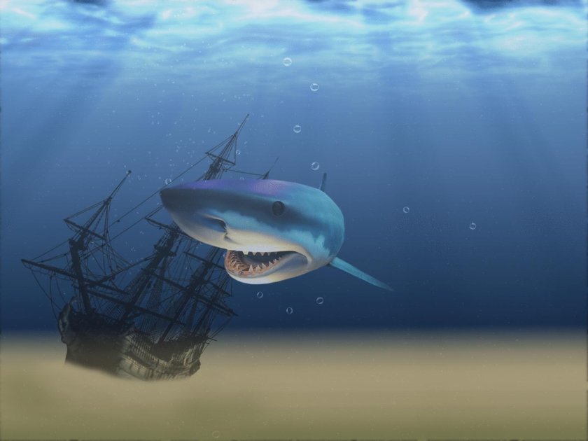 Кархародон МЕГАЛОДОН