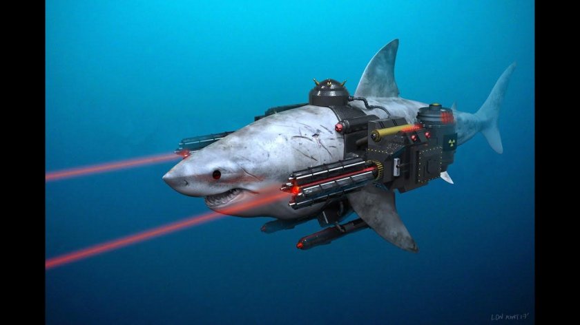 Акула МЕГАЛОДОН