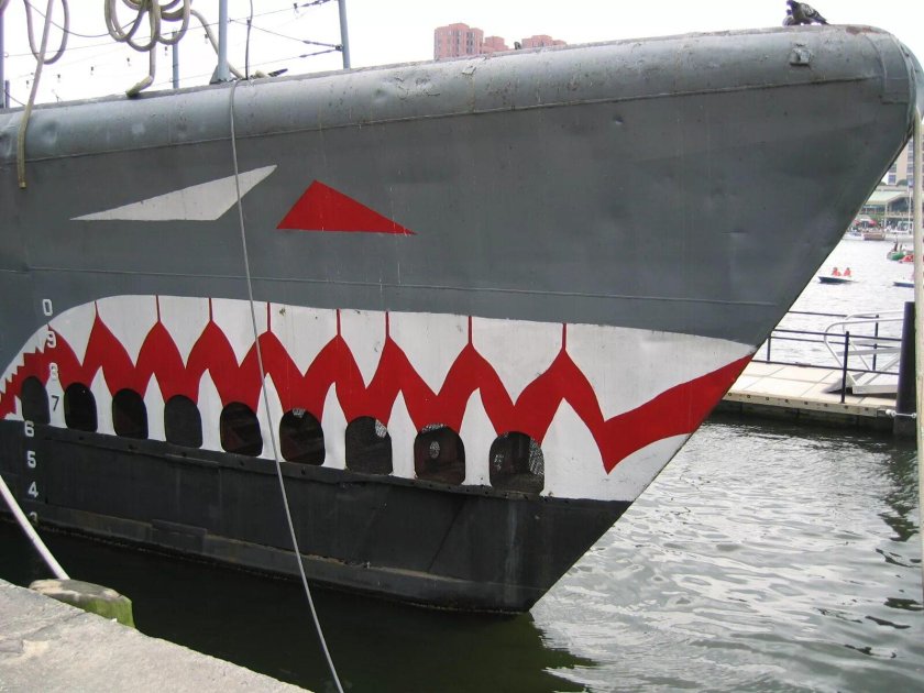 Корабль акула