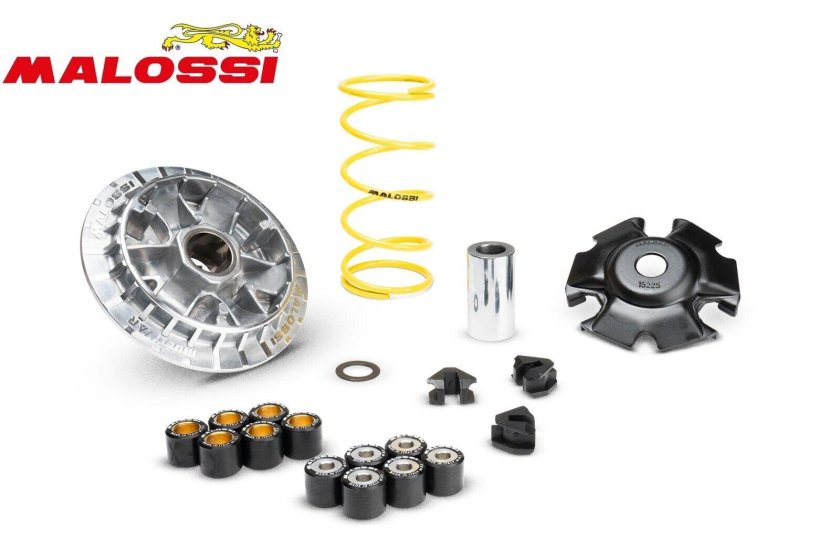 Вариатор malossi multivar