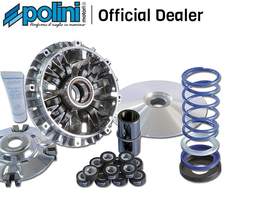 Вариатор полини