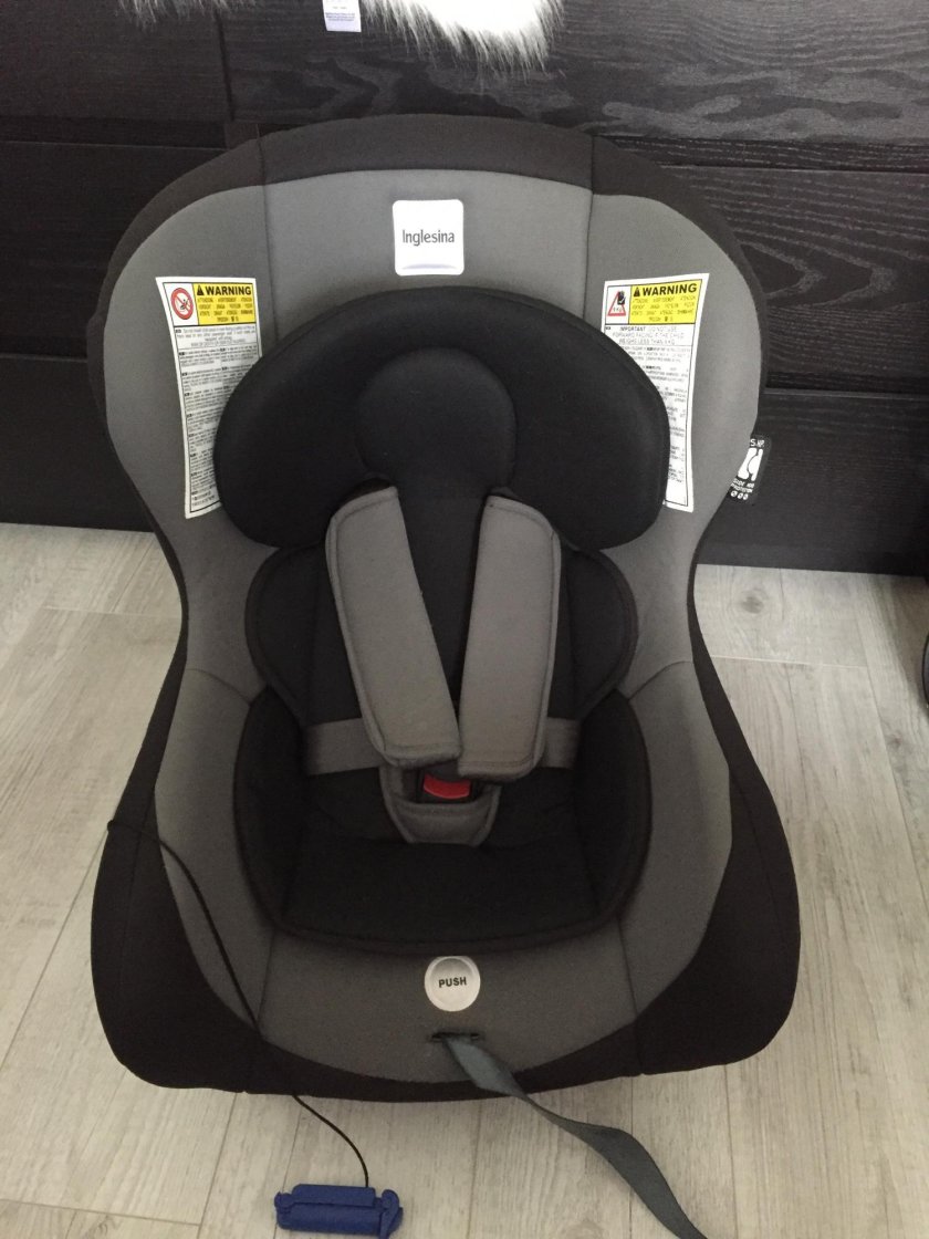 Inglesina Huggy Multifix