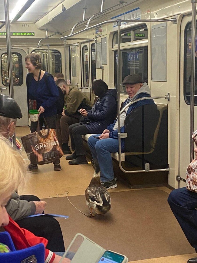 Жизнь в метро