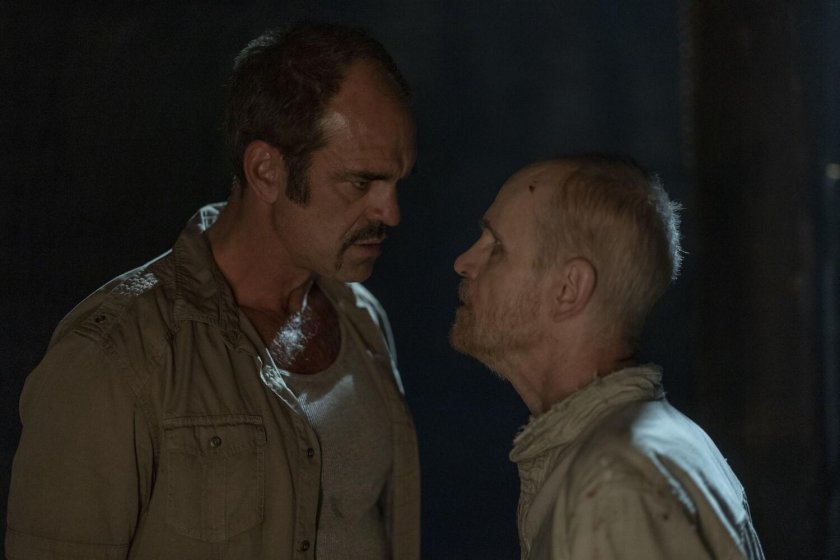 Стивен Огг Ходячие мертвецы