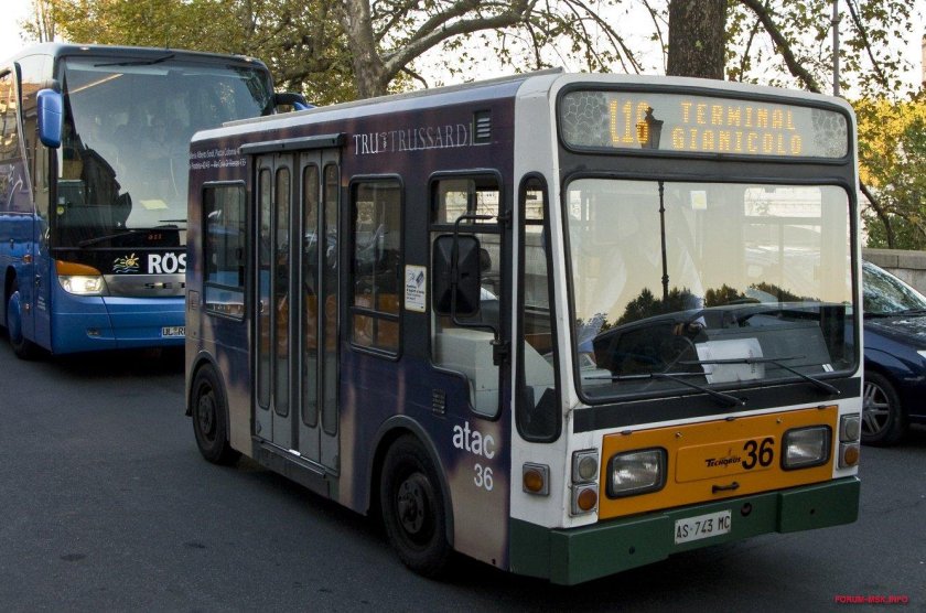 Большие городские автобусы