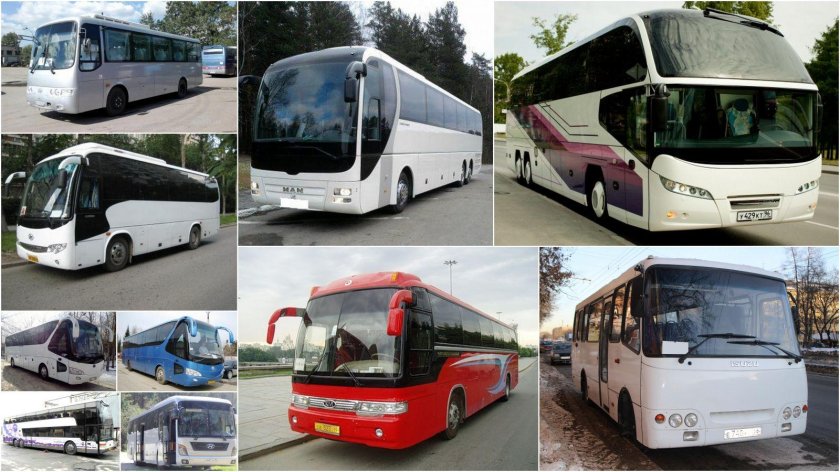 Автобусные перевозки