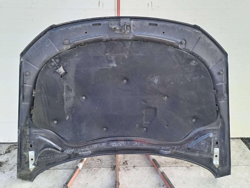 Обшивка капота