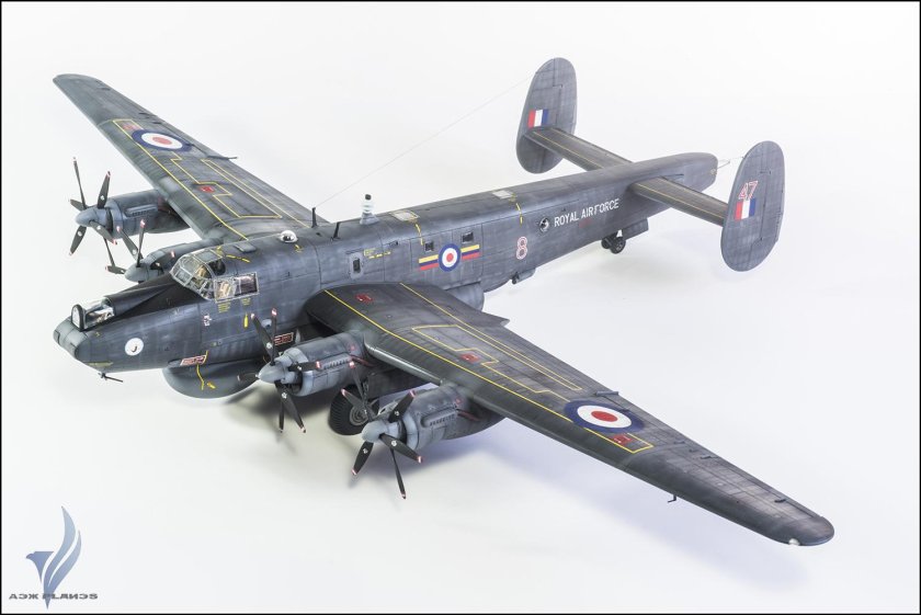 Шеклтон Ревелл