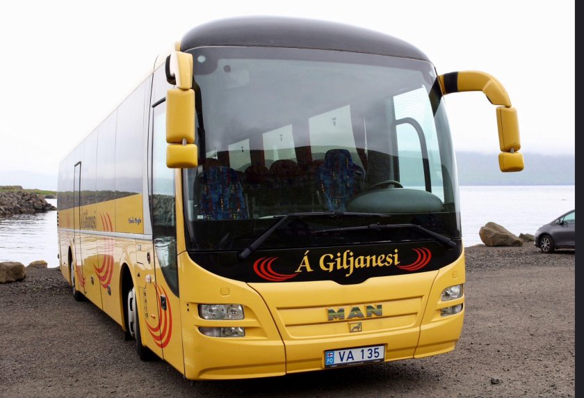 Man 49 автобус