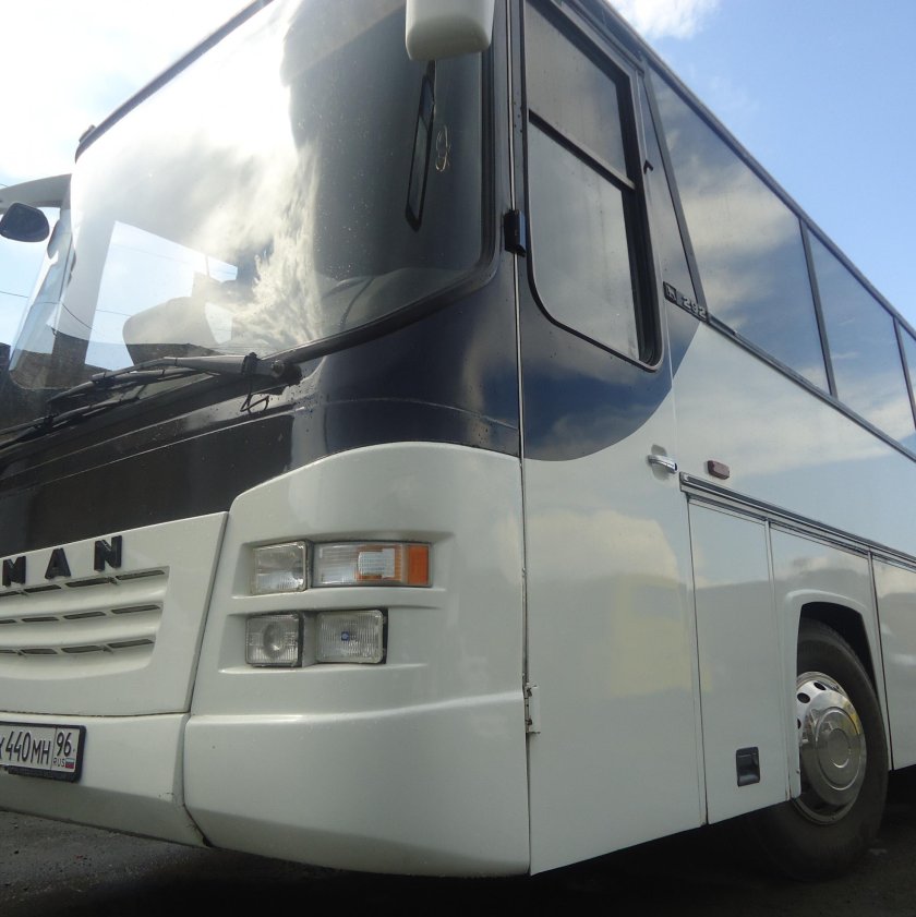 Автобус: ман (49), 1