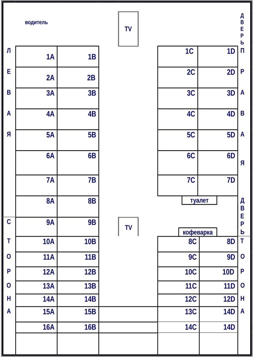 Схема расположения мест в автобусе сетра 49