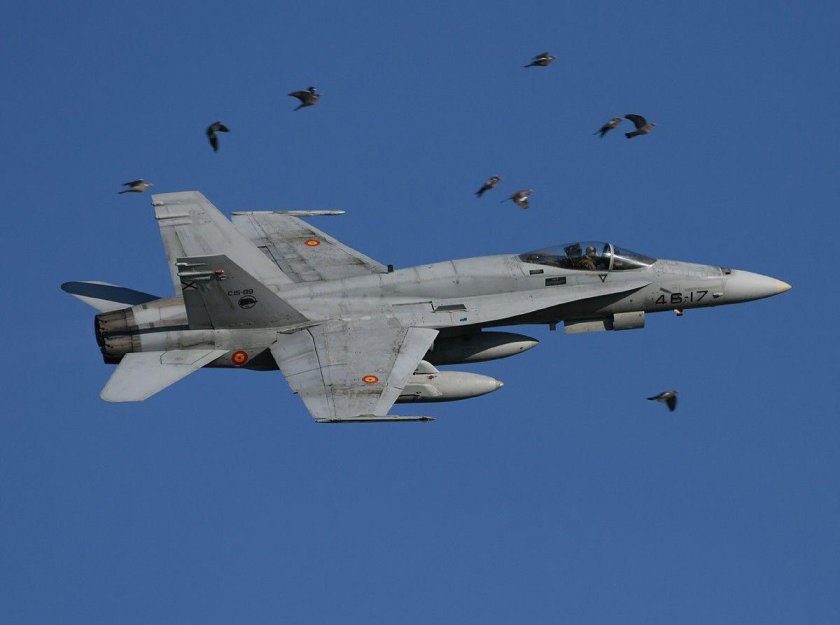 F-18 Hornet