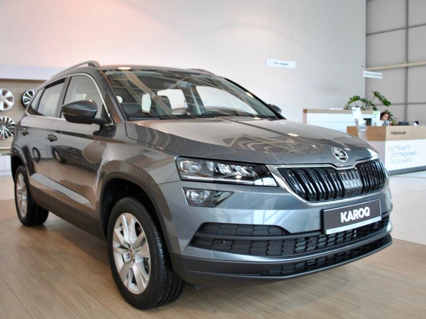 Škoda Karoq серый