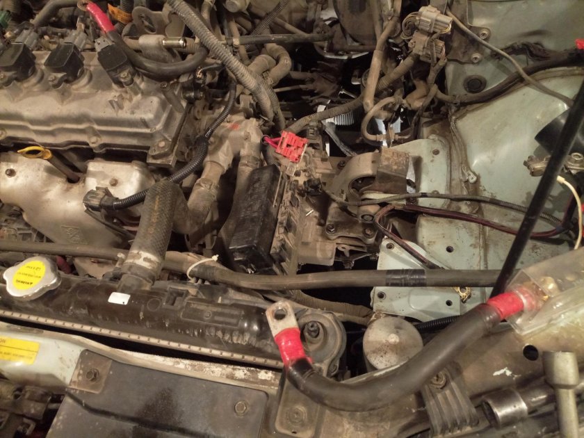 Стартер Альмера Классик расположение