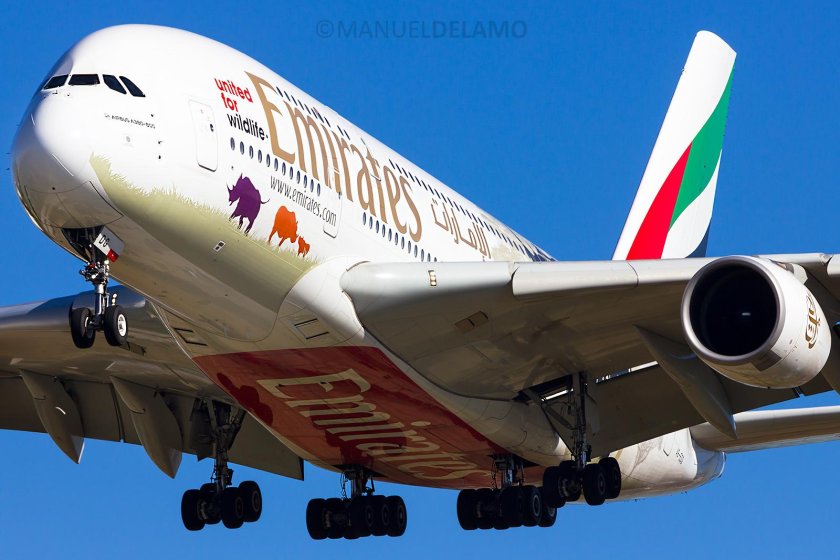 Аэробус 388 Эмирейтс