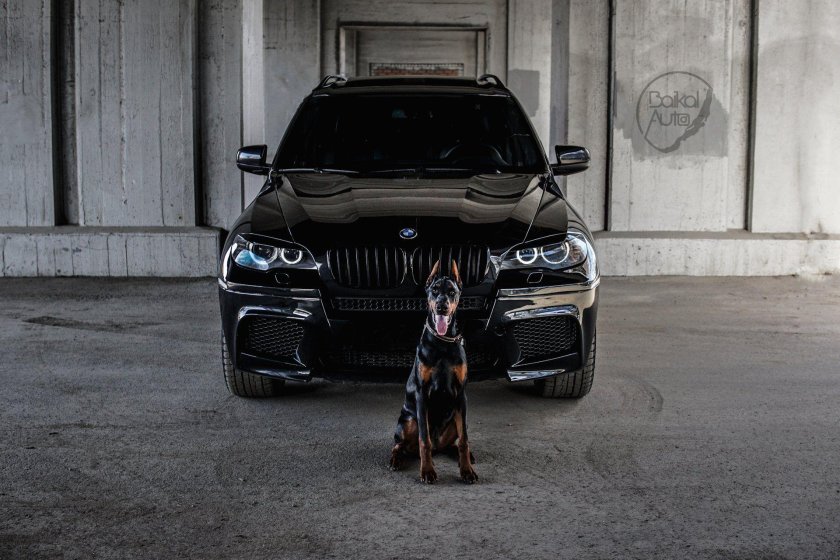 Машина bmw x 5