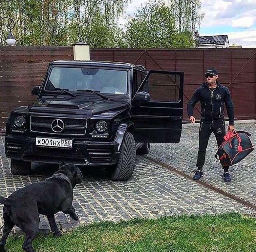 Доберман и Гелендваген