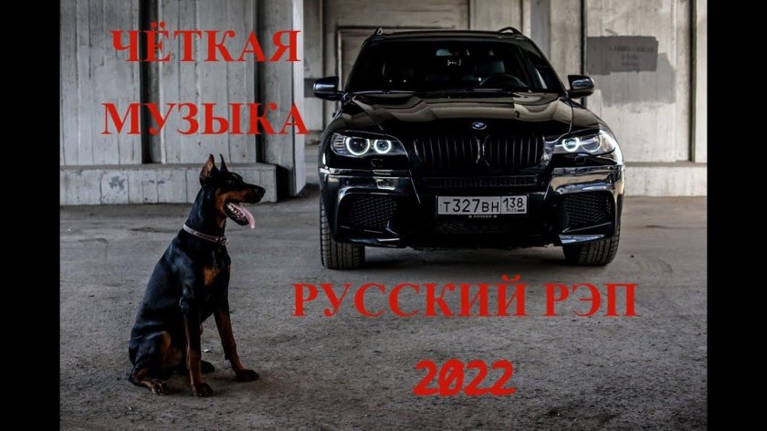 Доберман х5 BMW