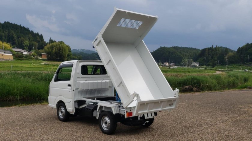 Suzuki Mini Truck