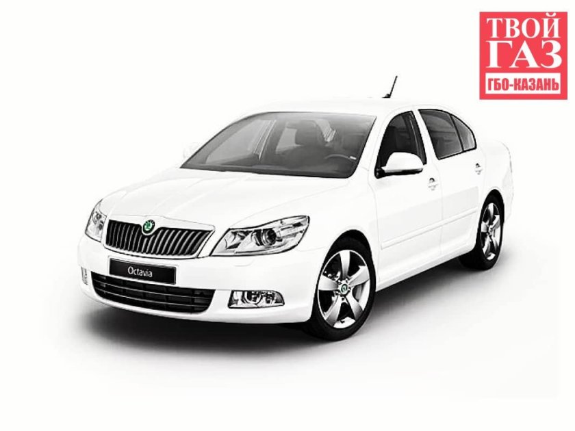 Шкода PNG без фона