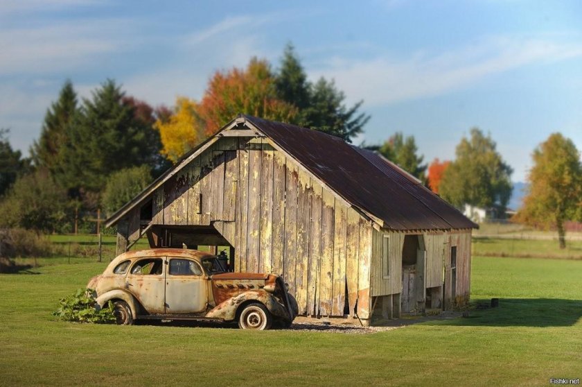 Дом-сарай Barn House