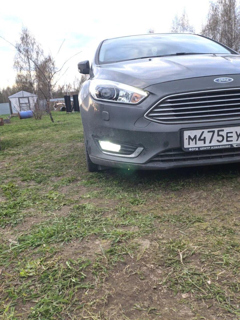 Лампа ПТФ Форд фокус 3