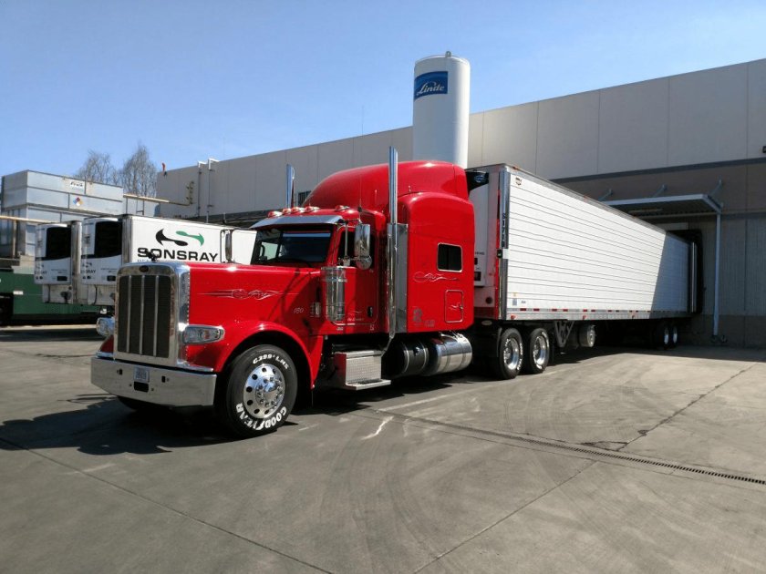 Петербилт 389