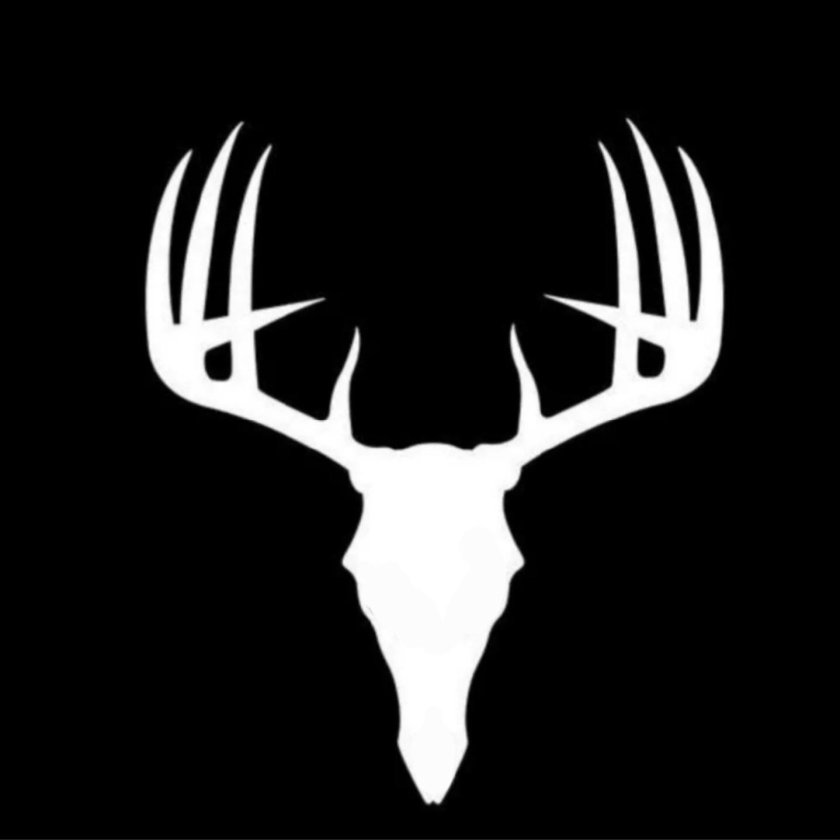 Череп оленя