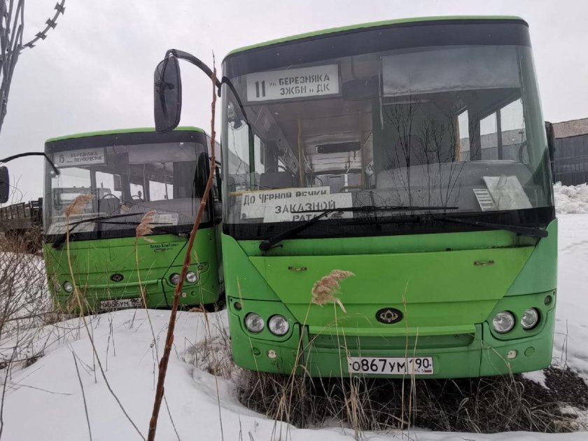 Богдан а 20111