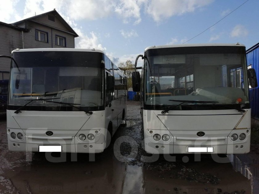 Автобус hyundai