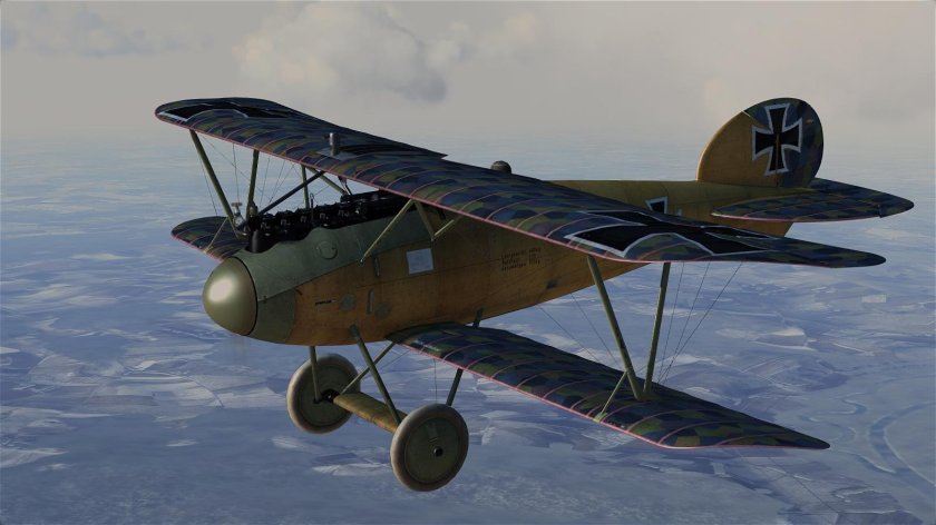 Albatros d