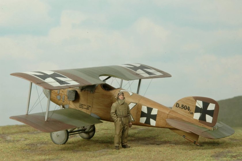 Albatros d2