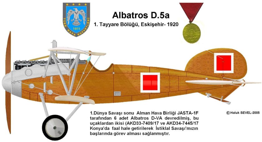 Albatros d.v