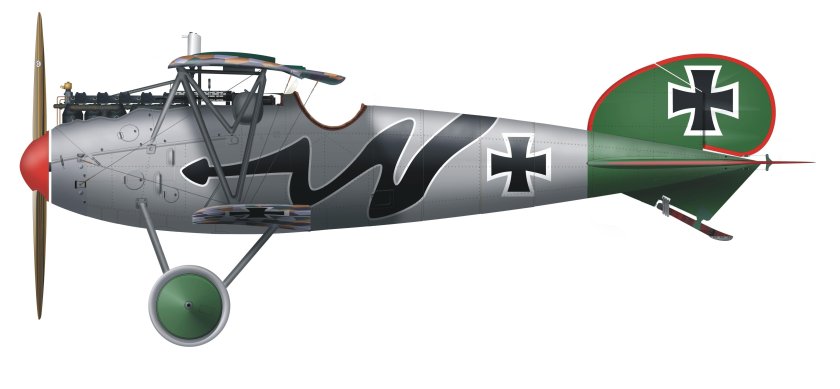 Albatros j1