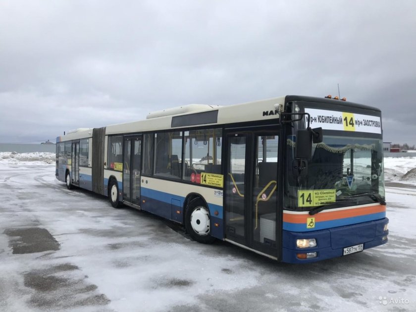 Автобус гармошка во Владимире