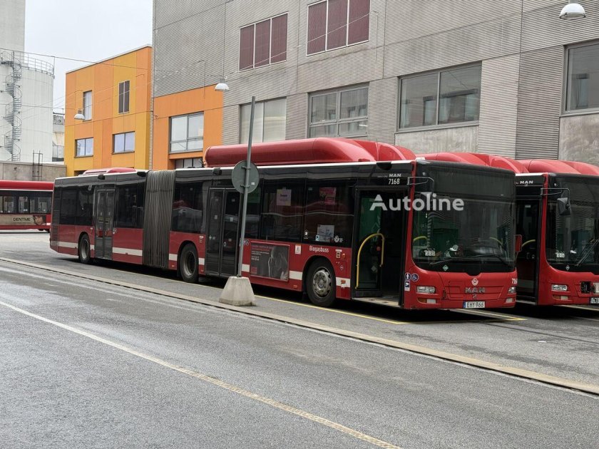 Городские автобусы