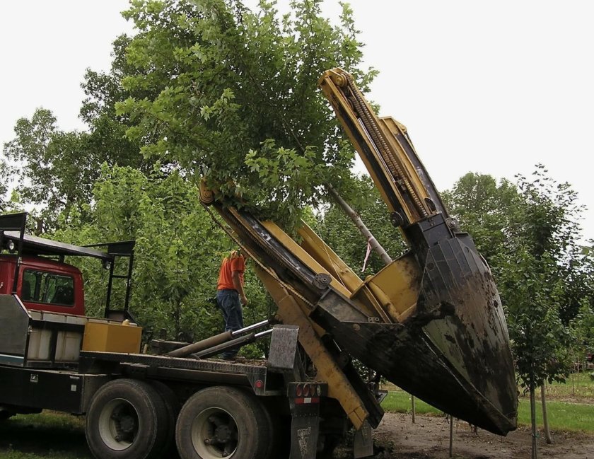 Пересадчик крупномеров