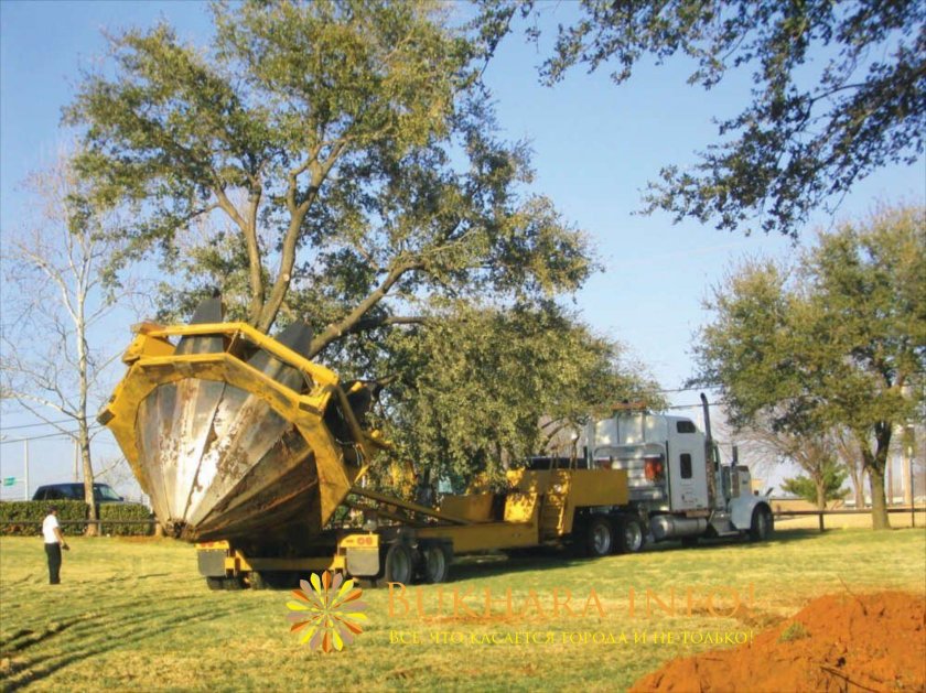 Машина для пересадки деревьев МПД-1800
