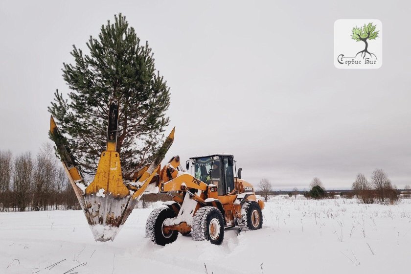 Пересадчик деревьев