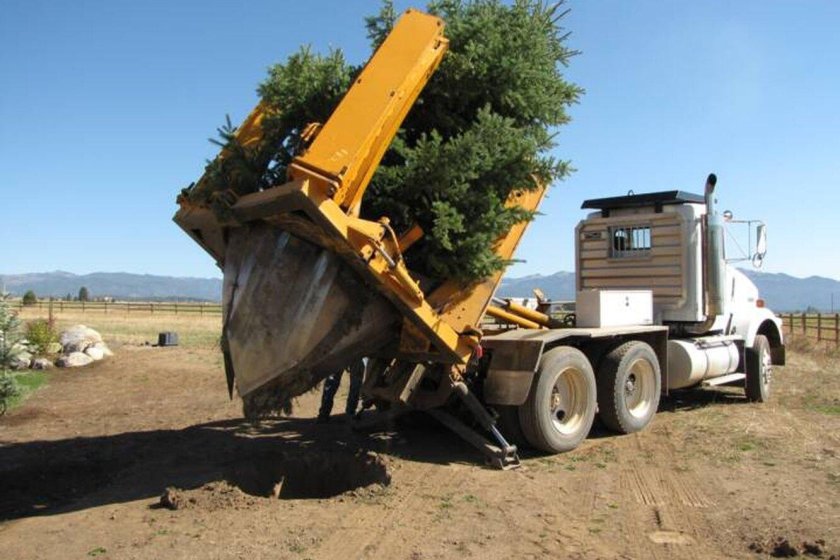 Машина для пересадки деревьев