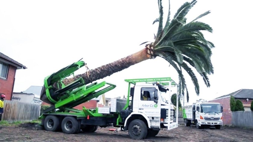 Машина для пересадки деревьев МПД-1800