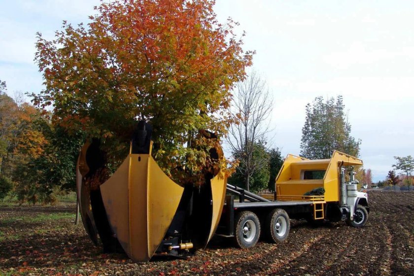 Машина для пересадки деревьев МПД-1800