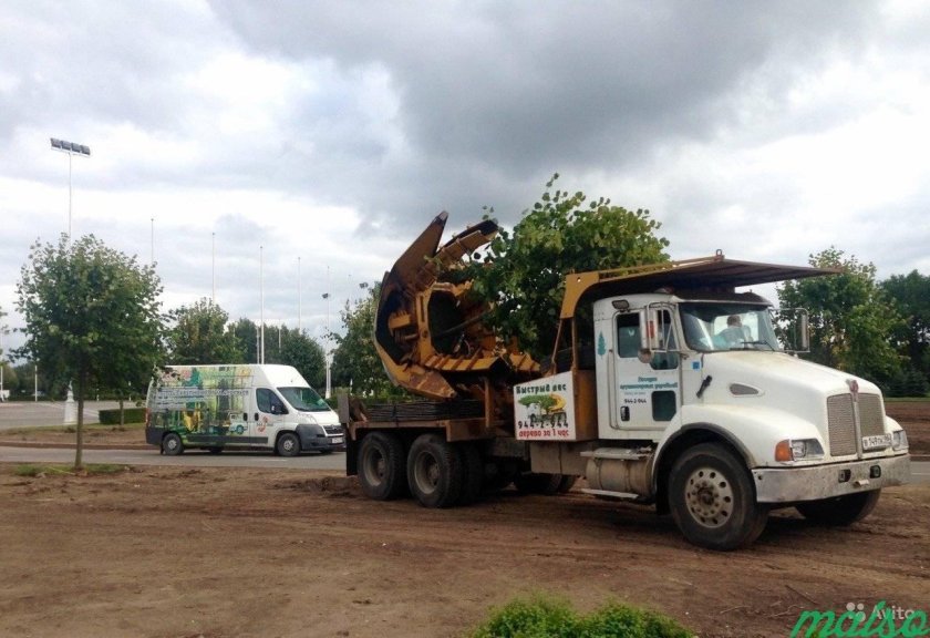 Машина для пересадки деревьев