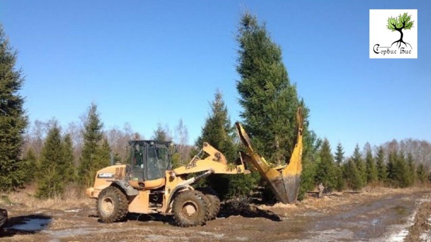 Техника для пересадки деревьев крупномеров