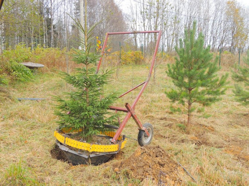 Пересадчик крупномеров