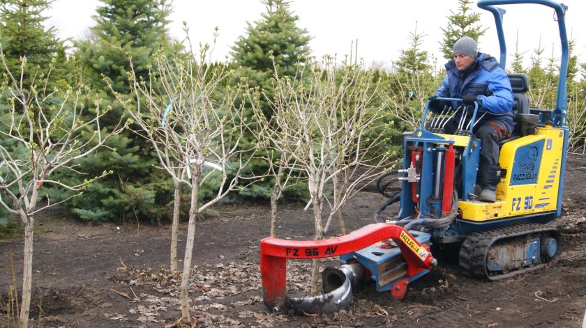 Техника для выкапывания деревьев